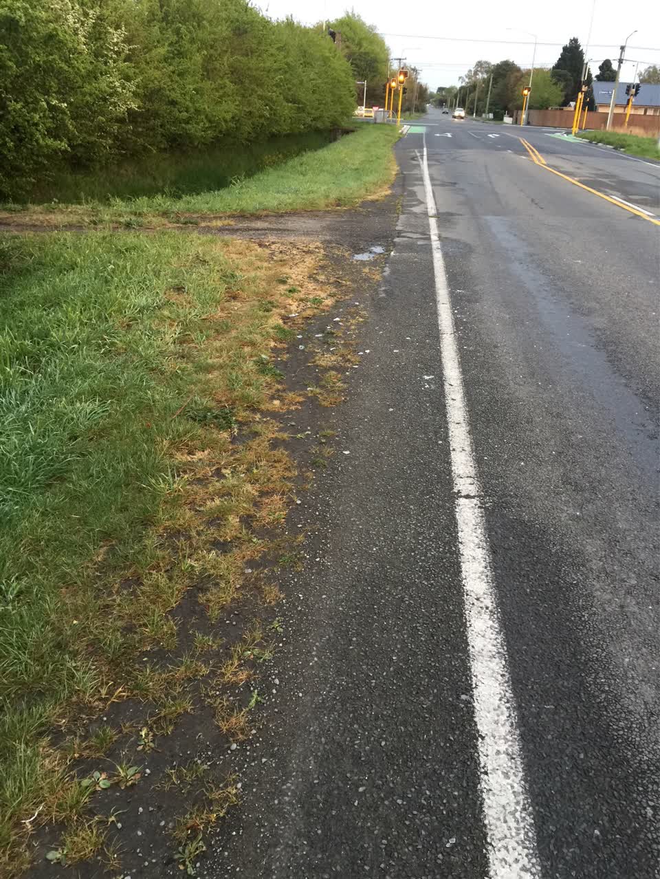 The photograph attached to this litter report