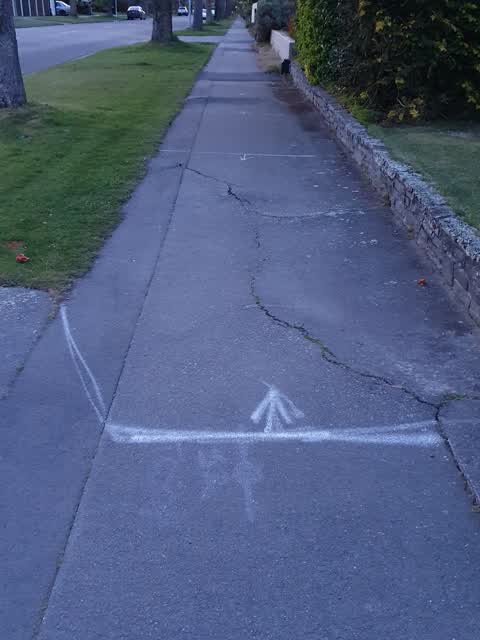 Pavement - Damaged, a report photo