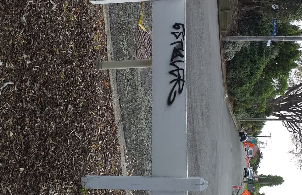 The photograph attached to this graffiti - public property report