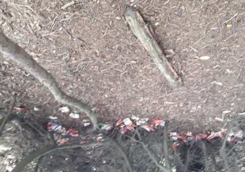 Parks, a report photo
