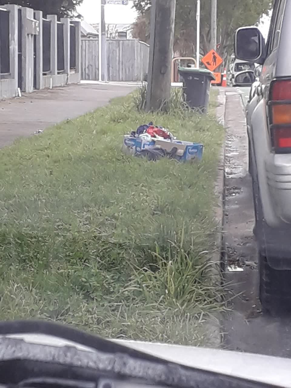 The photograph attached to this rubbish and bins - general report