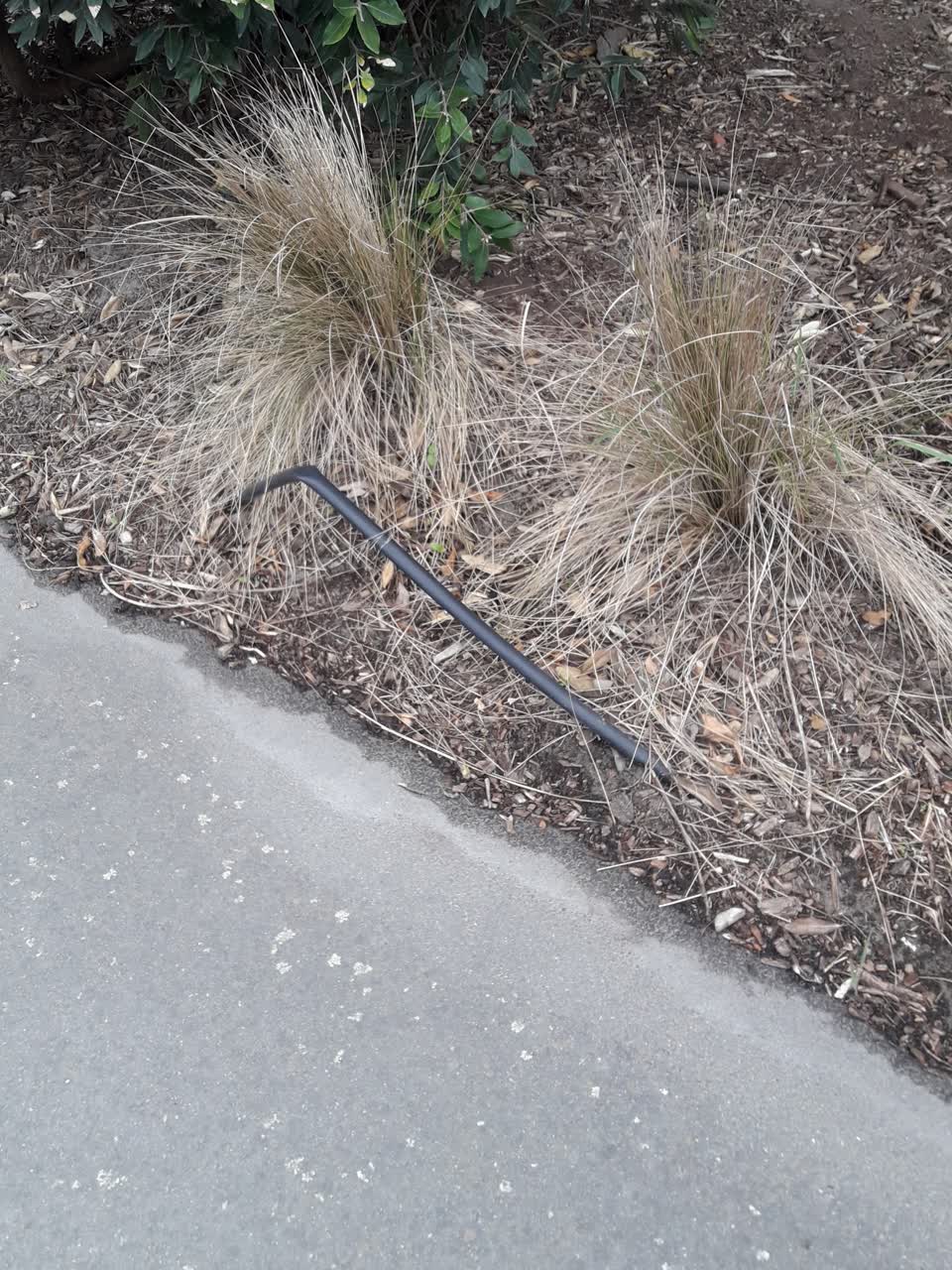The photograph attached to this parks report