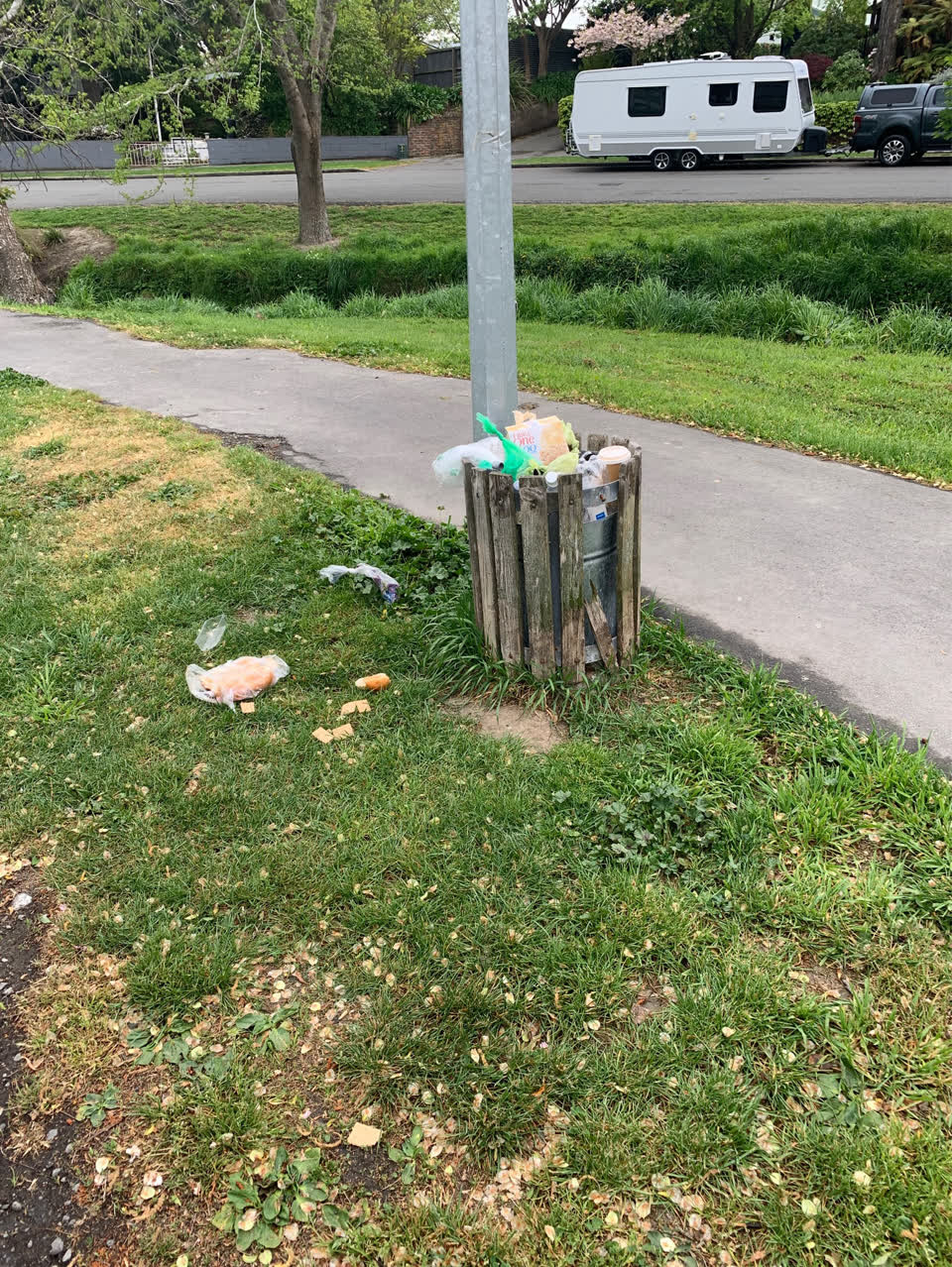 The photograph attached to this rubbish and bins - general report