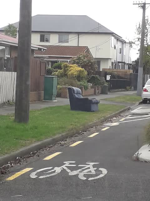 Rubbish and Bins - General, a report photo