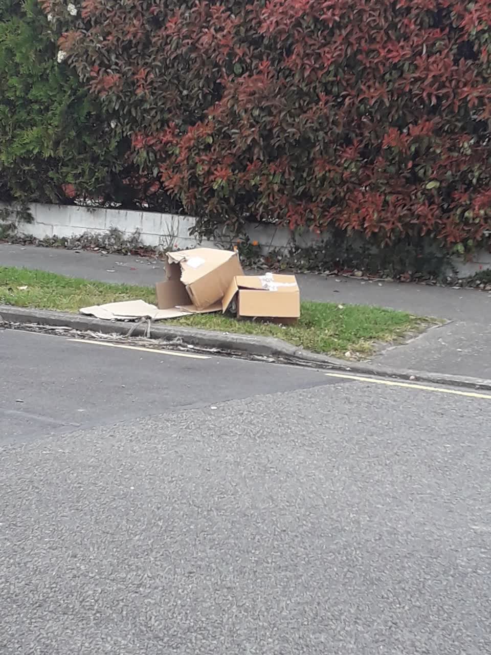 The photograph attached to this dumped rubbish report