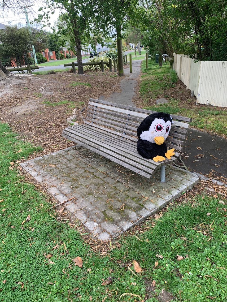 The photograph attached to this litter report