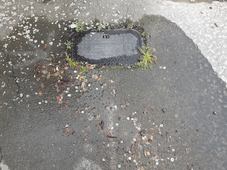The photograph attached to this water leak report