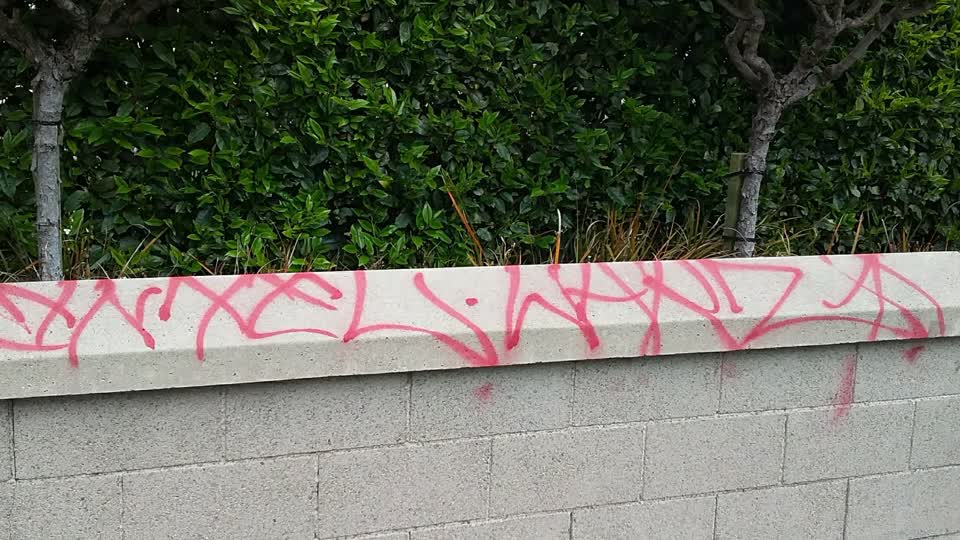 The photograph attached to this graffiti report