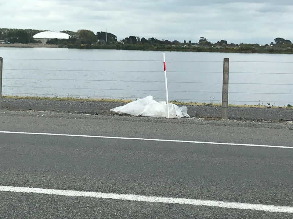 The photograph attached to this litter report
