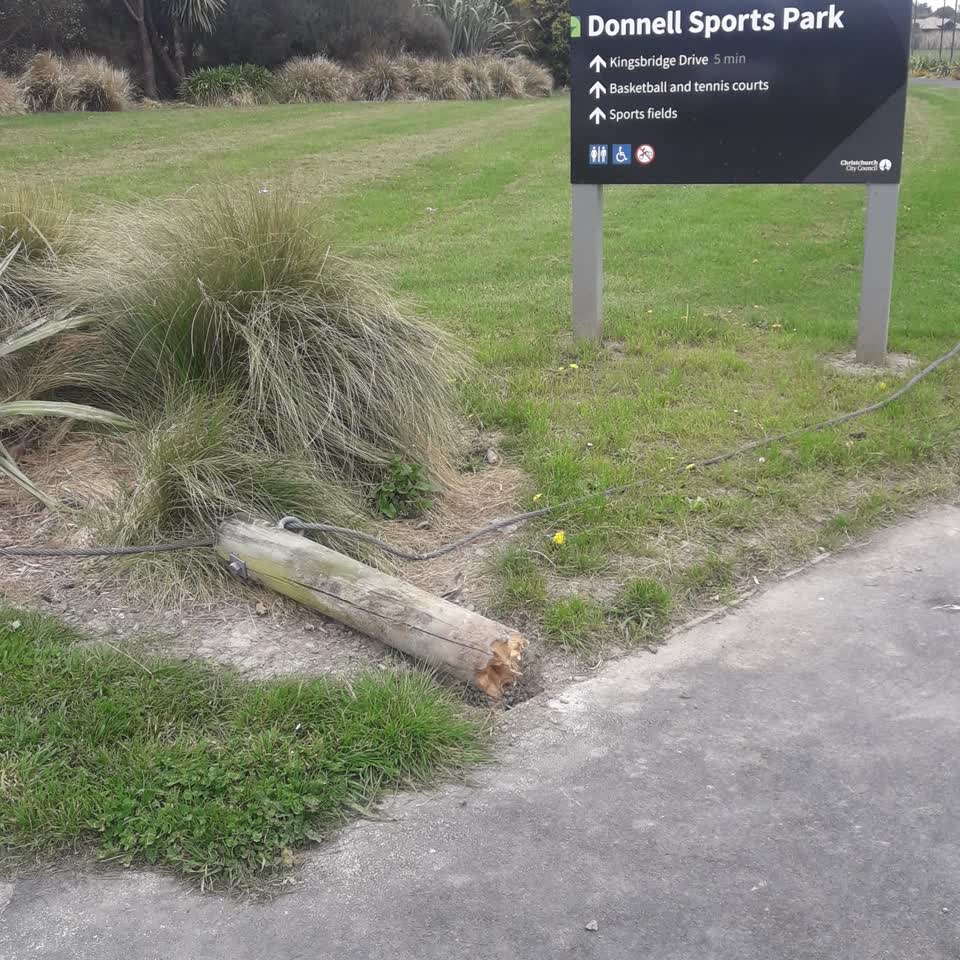 The photograph attached to this parks report