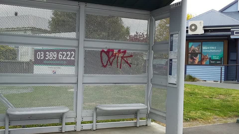 The photograph attached to this vandalism - general report