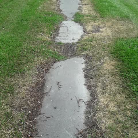 Pavement - Damaged, a report photo