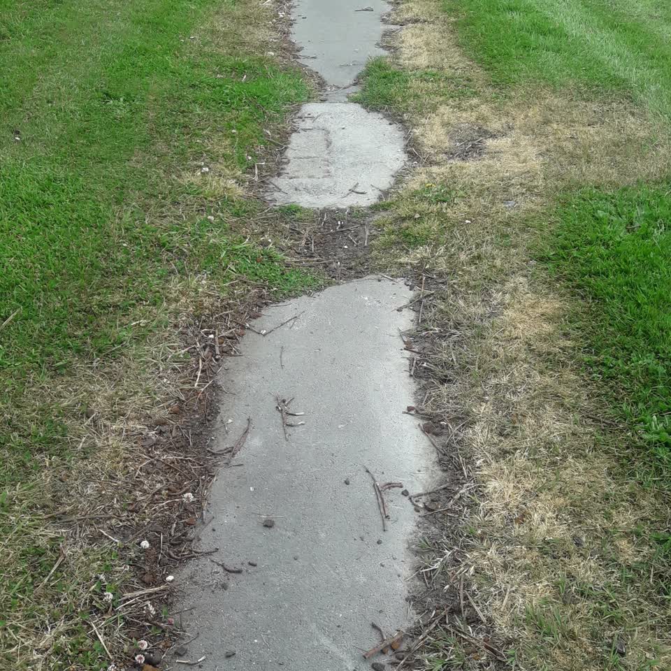 The photograph attached to this pavement - damaged report