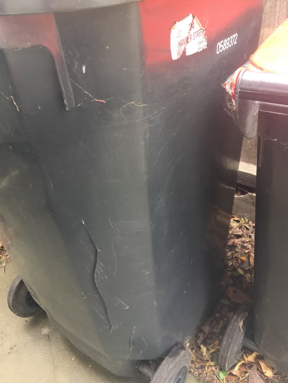 The photograph attached to this rubbish and bins - general report