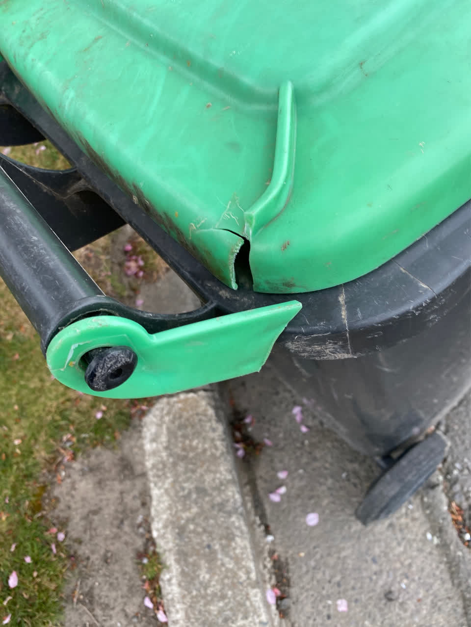 The photograph attached to this rubbish and bins - general report