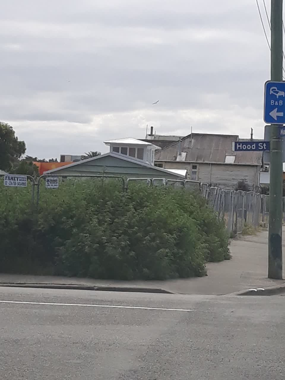 The photograph attached to this overgrown vegetation report