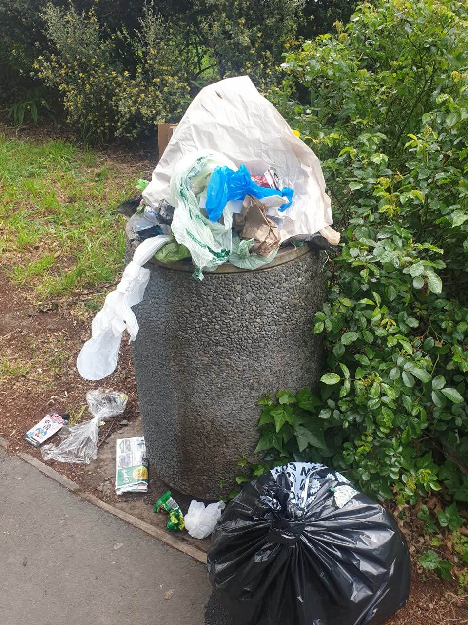 The photograph attached to this rubbish and bins - general report