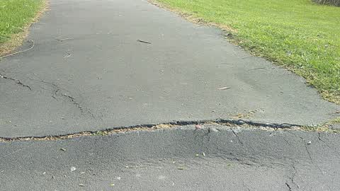 Pavement - Damaged, a report photo