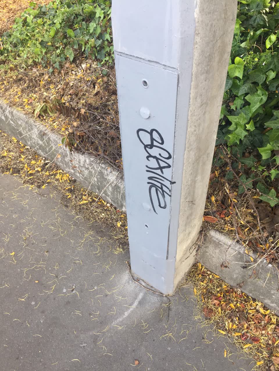 The photograph attached to this graffiti report