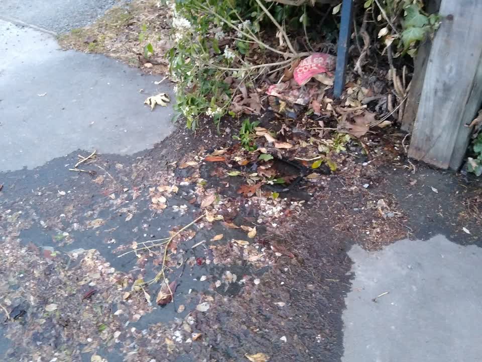 The photograph attached to this water leak report