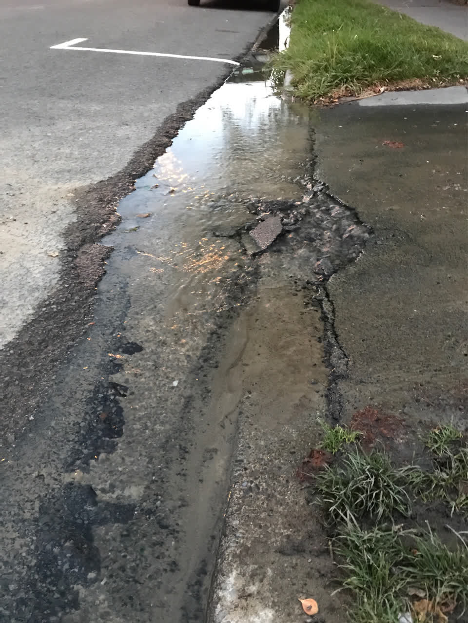 The photograph attached to this water leak report