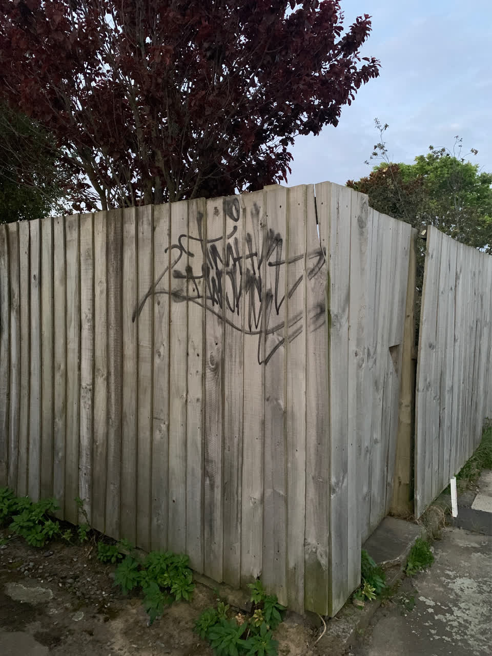 The photograph attached to this graffiti report