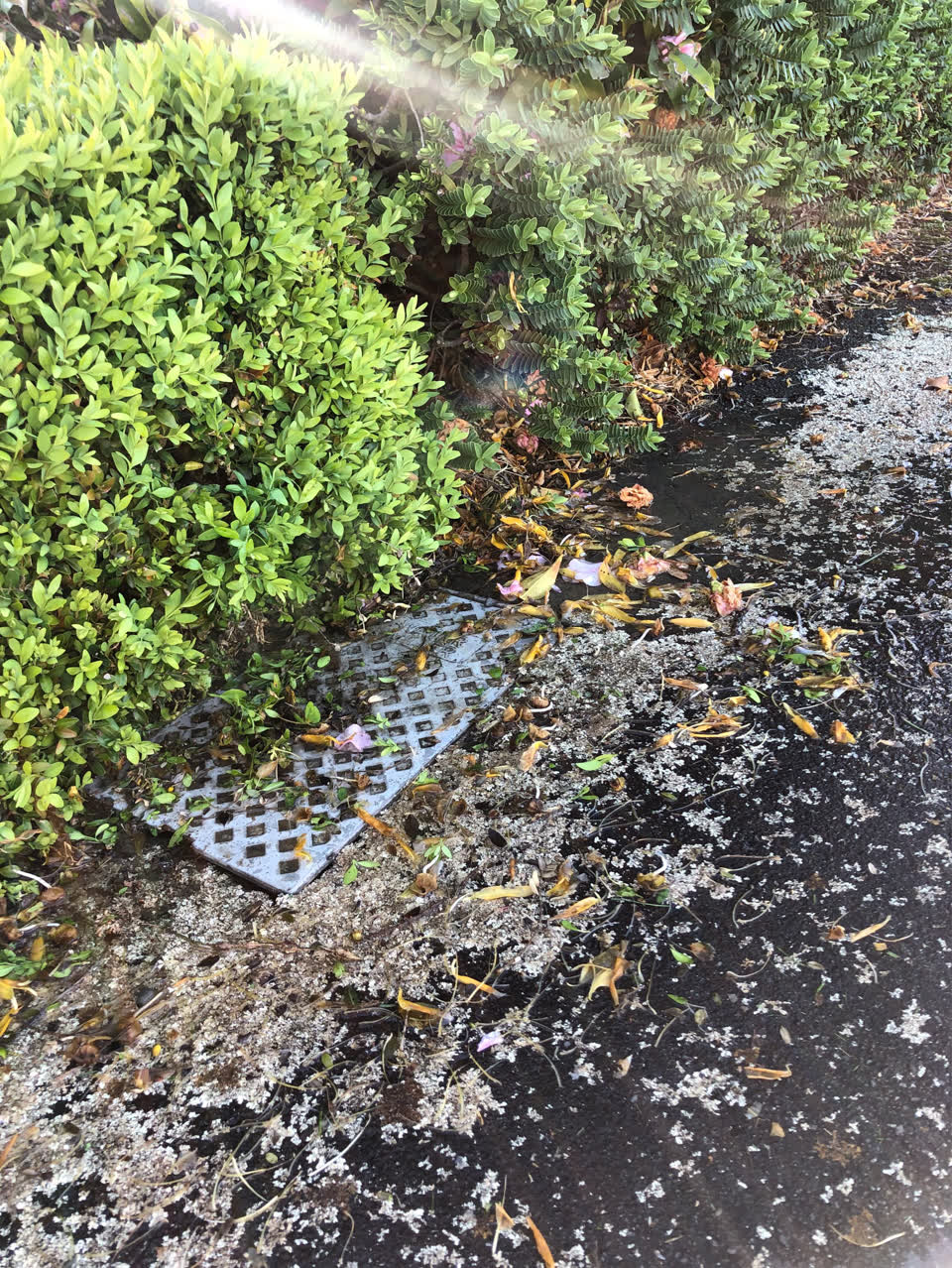 The photograph attached to this water leak report