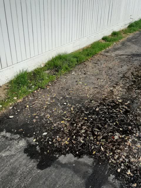 Water Leak, a report photo