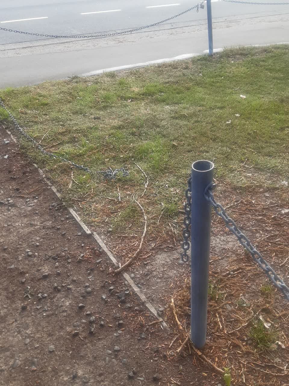 The photograph attached to this parks report