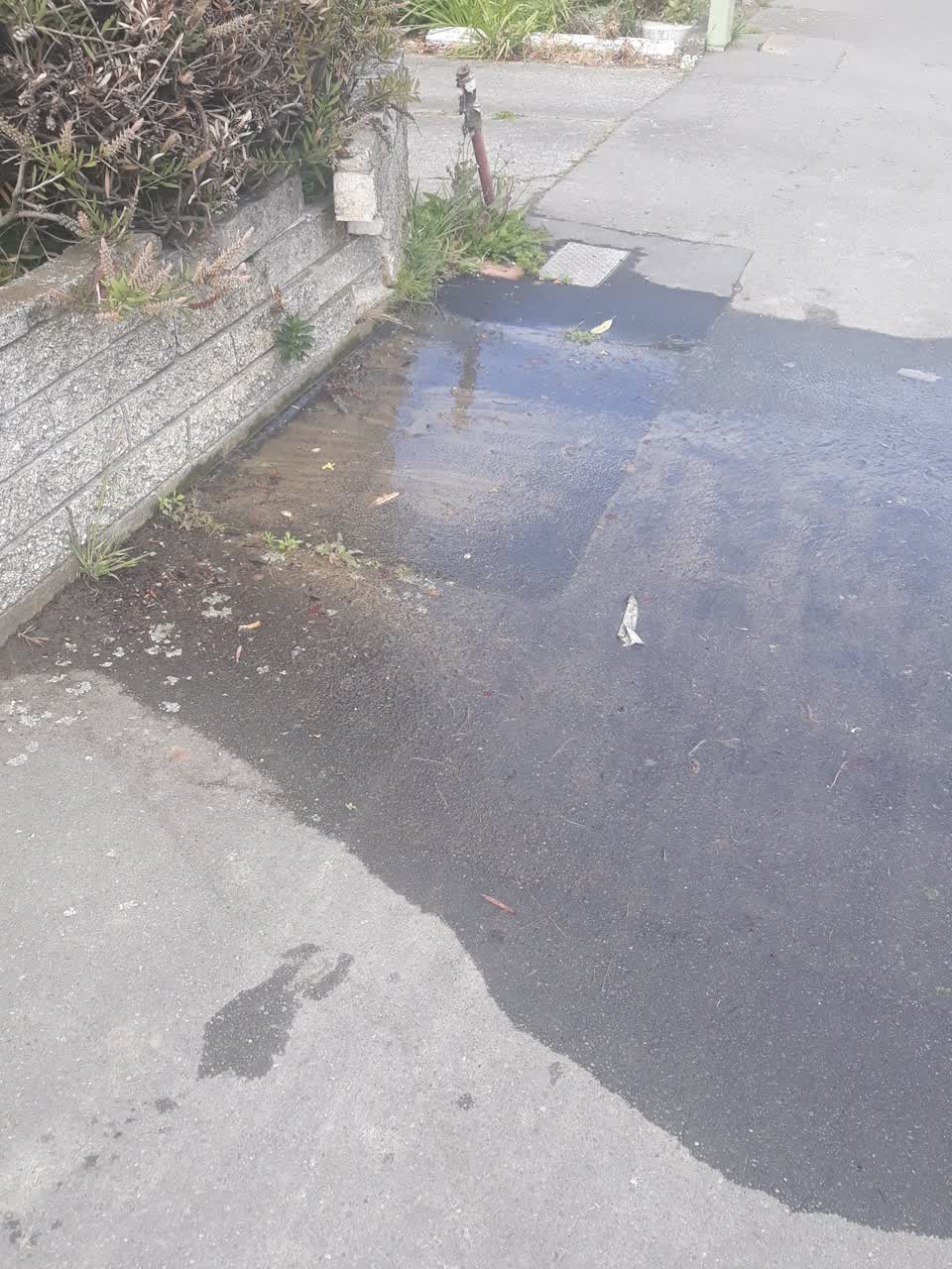 The photograph attached to this water leak report