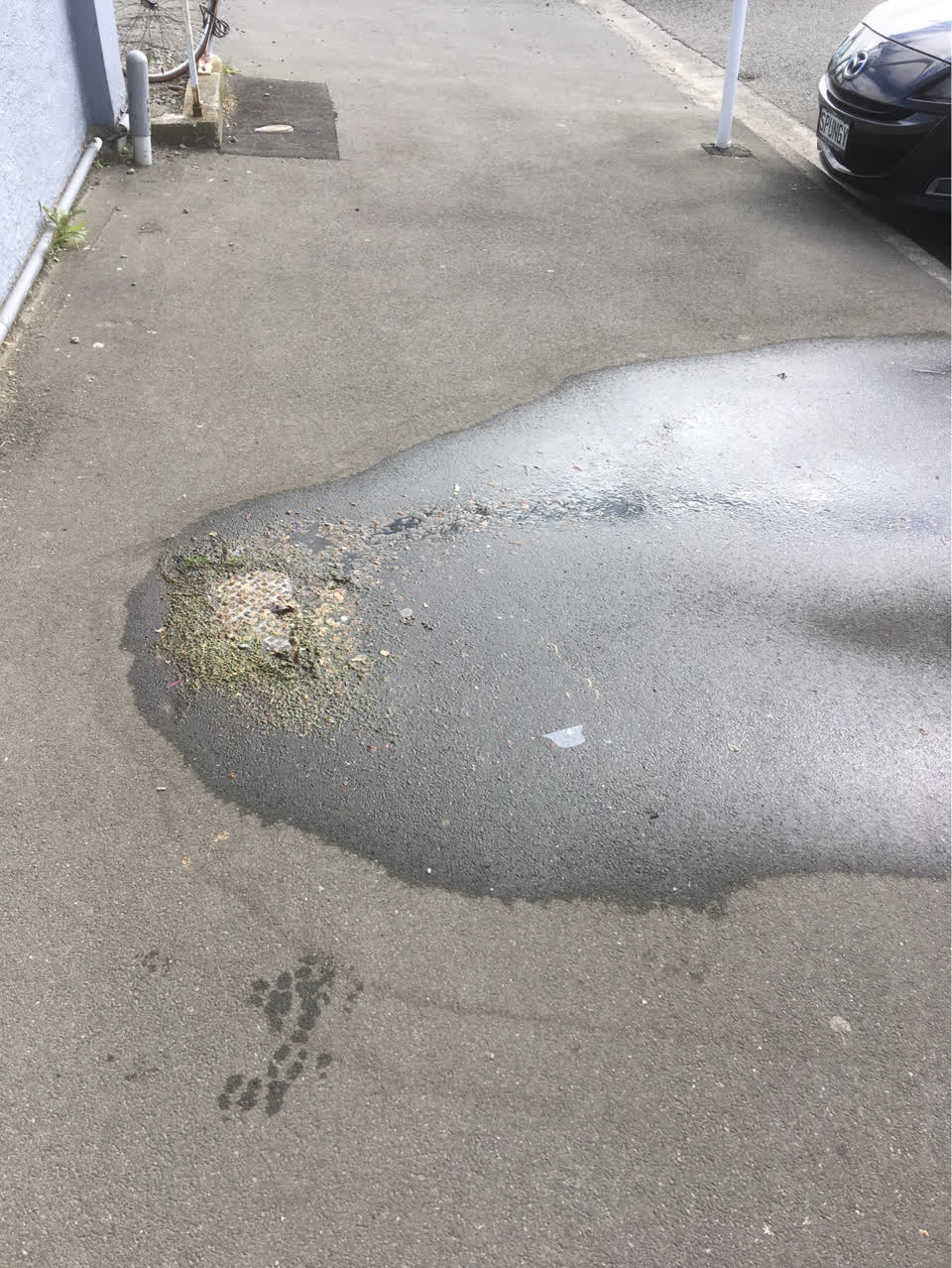 The photograph attached to this water leak report