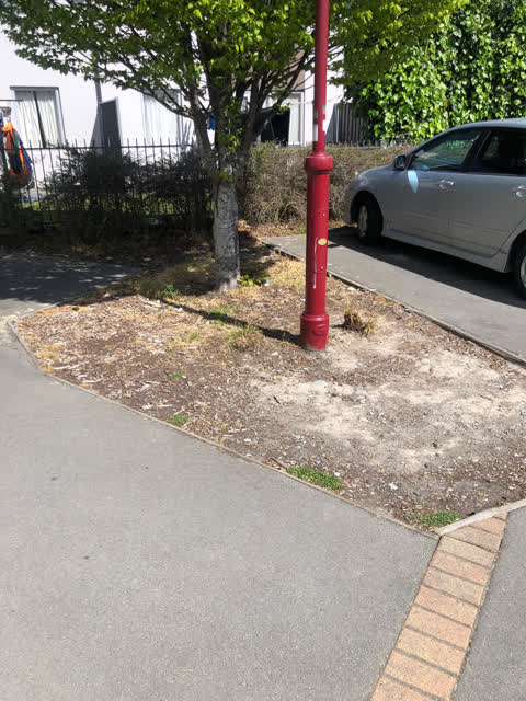 Parks, a report photo