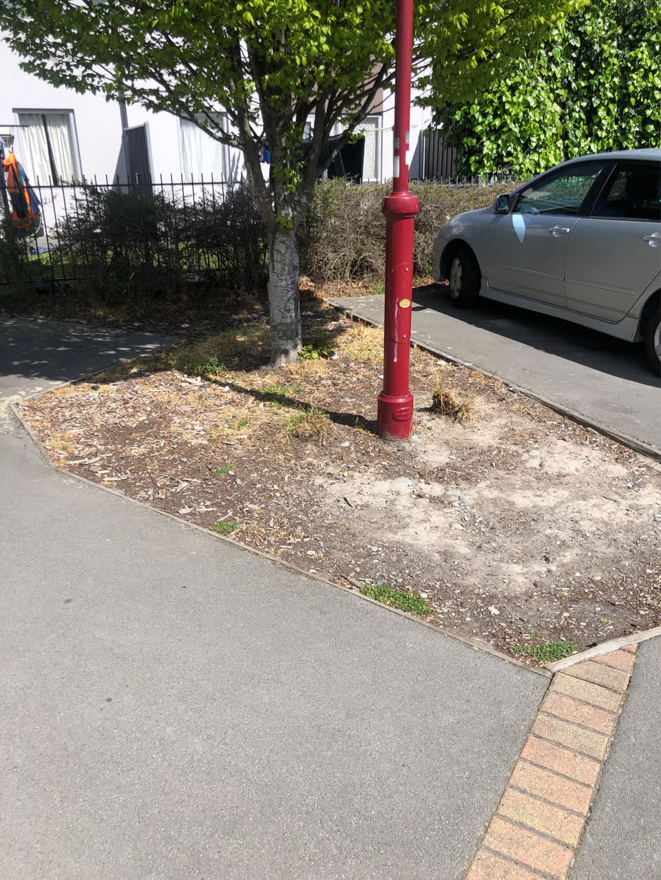 The photograph attached to this parks report