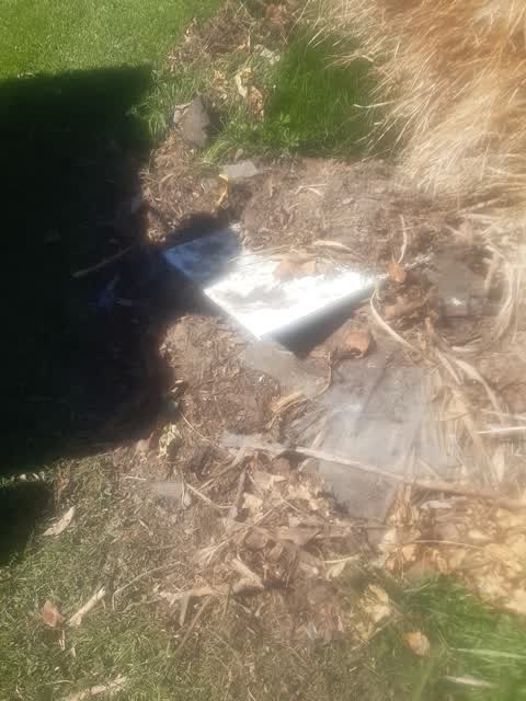 Dumped Rubbish, a report photo