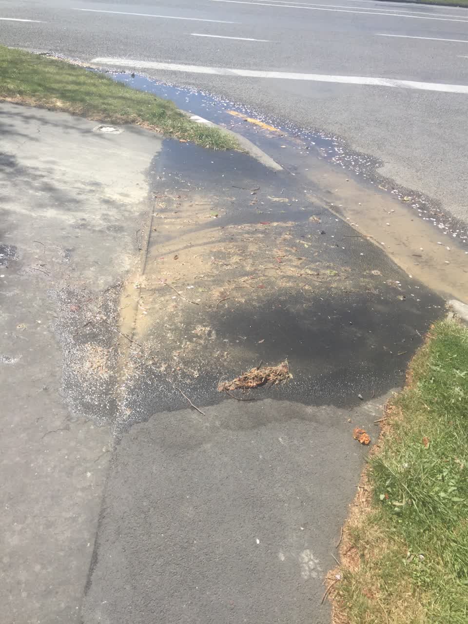 The photograph attached to this water leak report