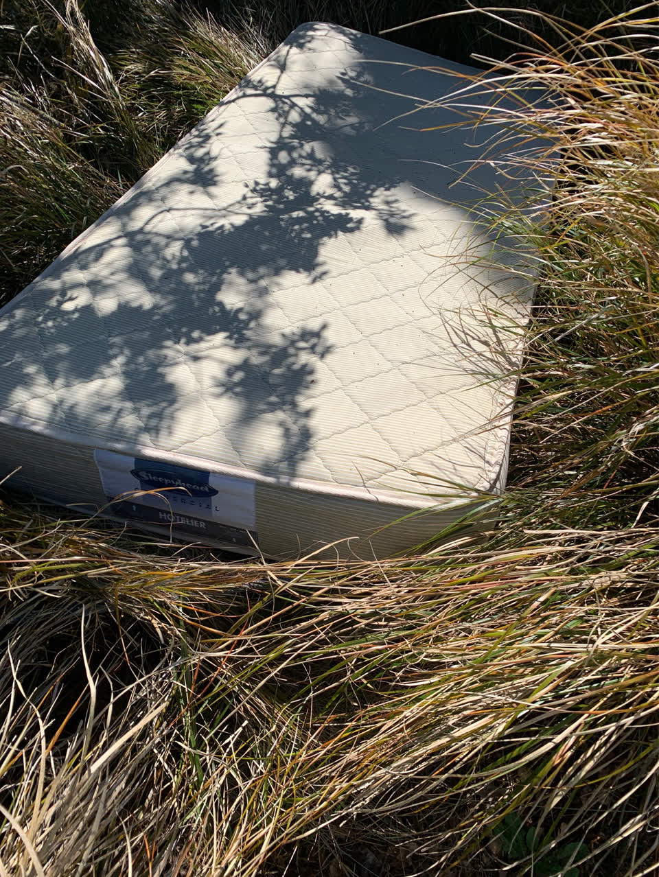 The photograph attached to this dumped rubbish report