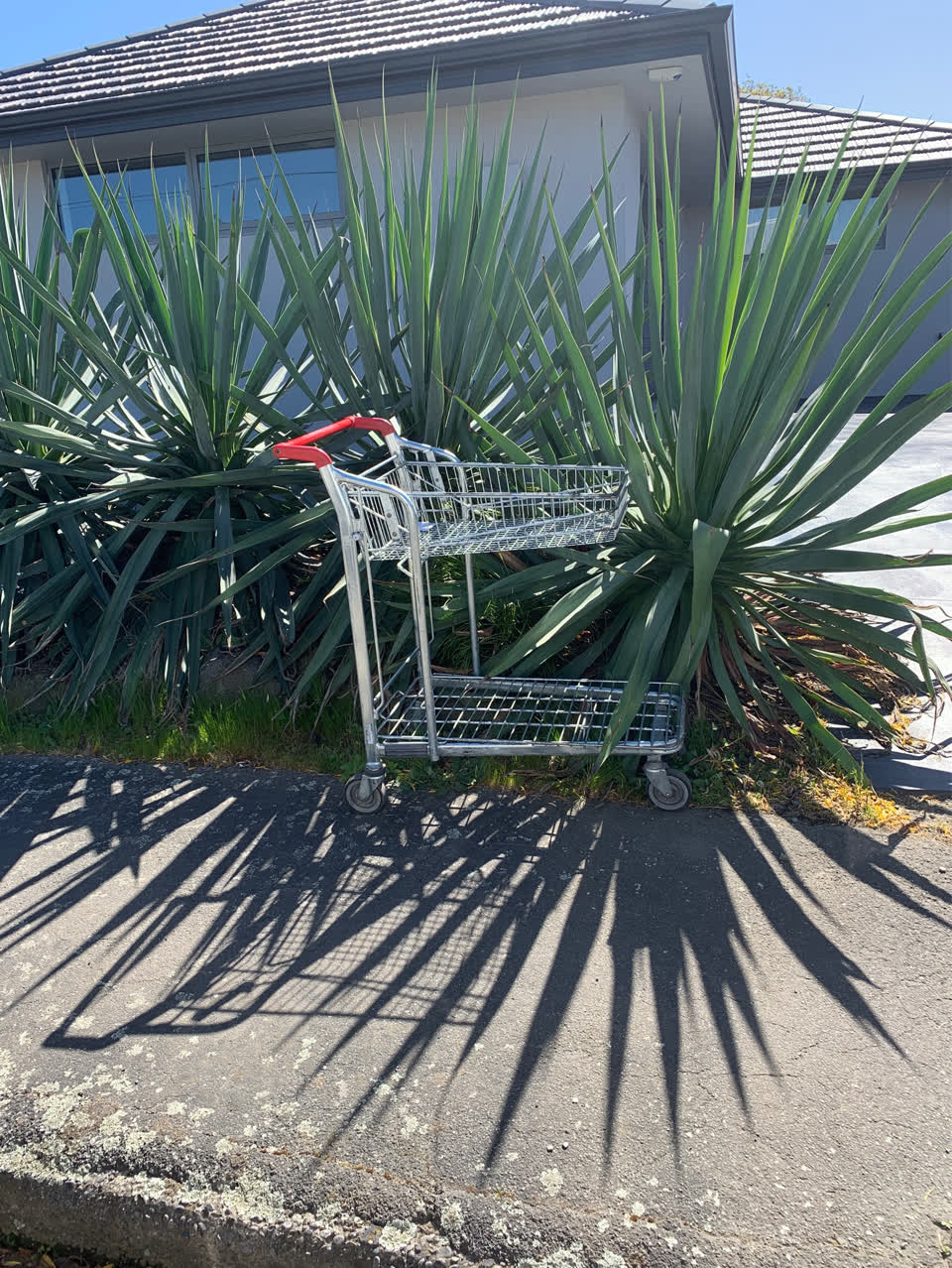 The photograph attached to this general - abandoned trolley report