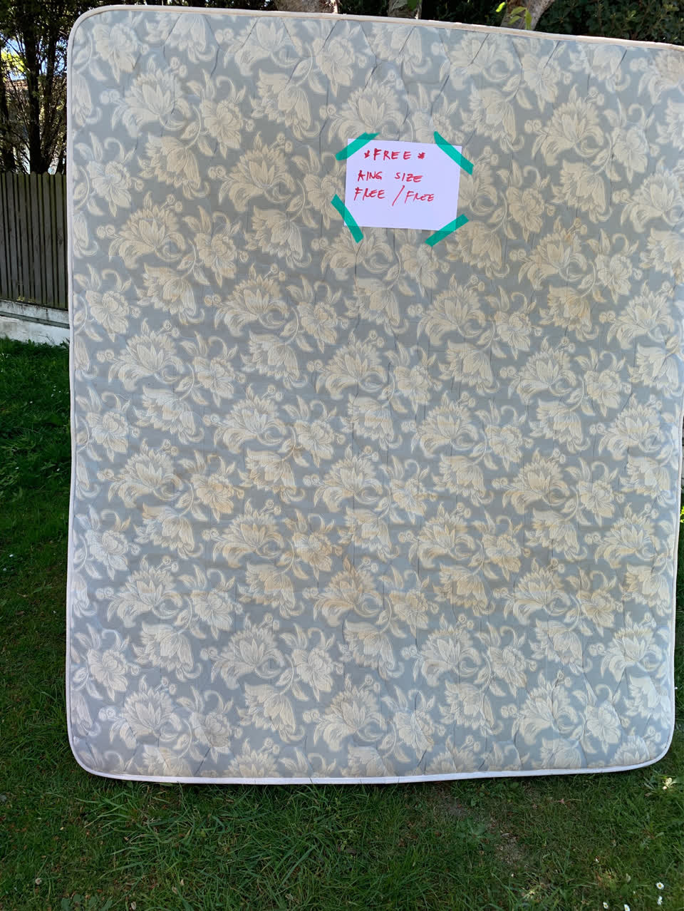 The photograph attached to this rubbish and bins - general report