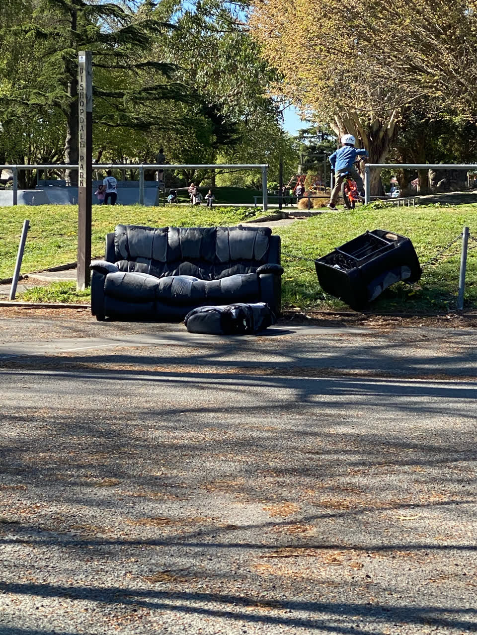 The photograph attached to this dumped rubbish report
