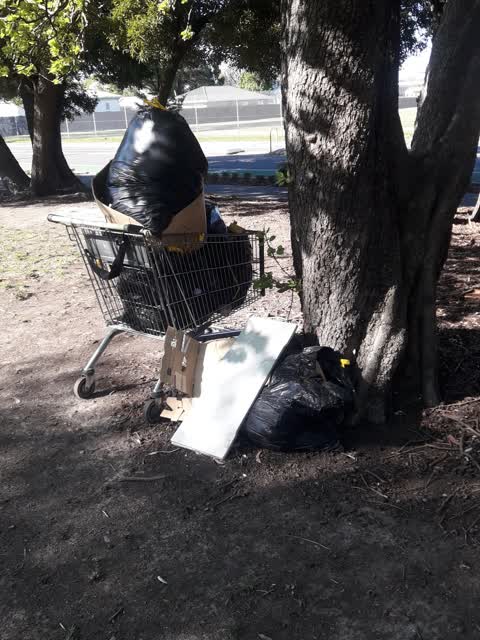 Parks, a report photo