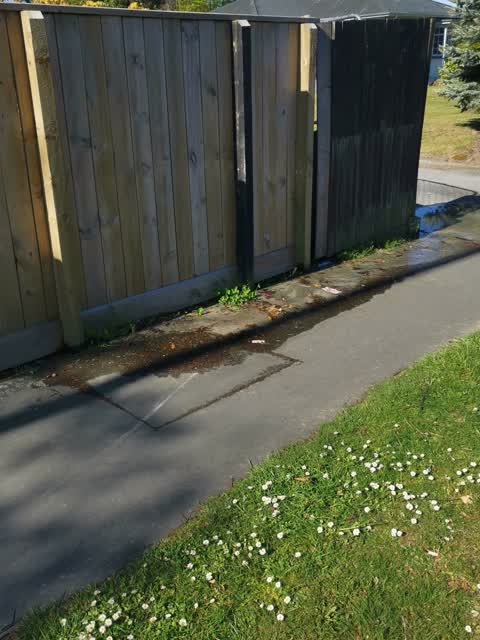 Water Leak, a report photo