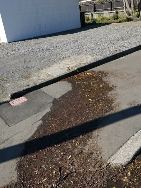 Water Leak, a report photo