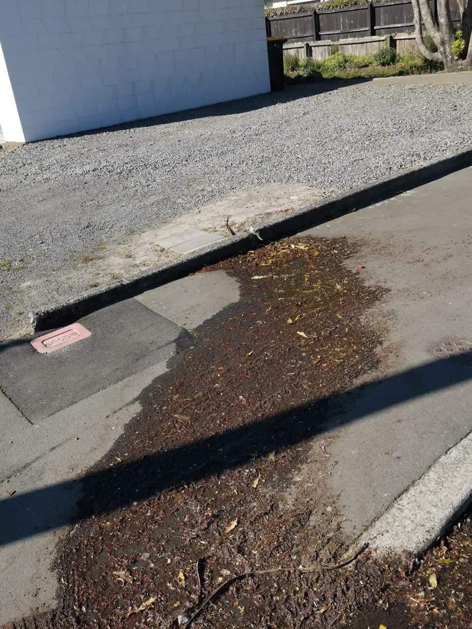 The photograph attached to this water leak report