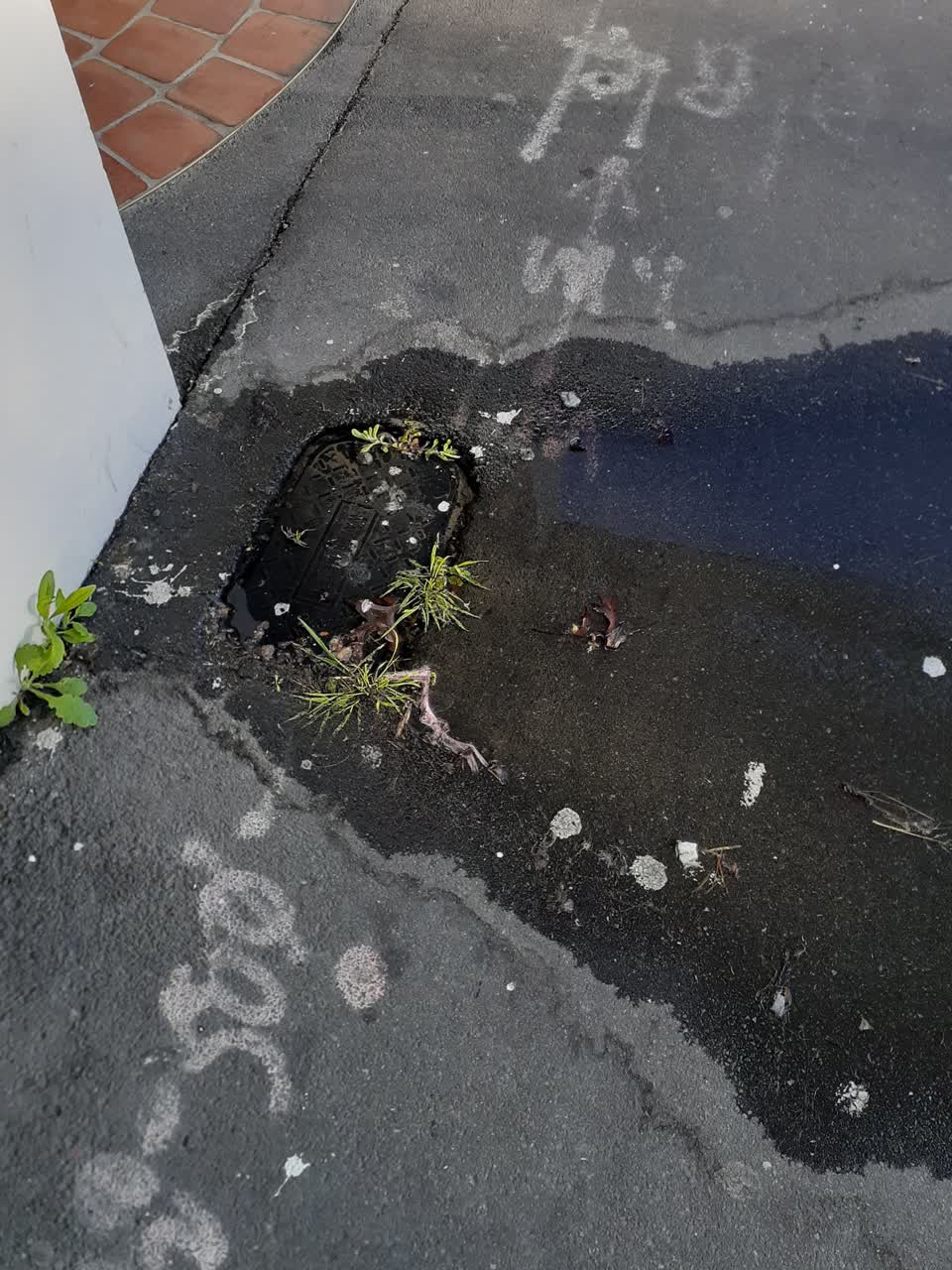 The photograph attached to this water leak report