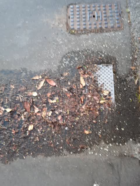Water Leak, a report photo