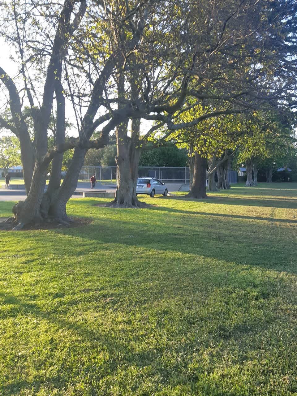 The photograph attached to this hazard, vehicle report