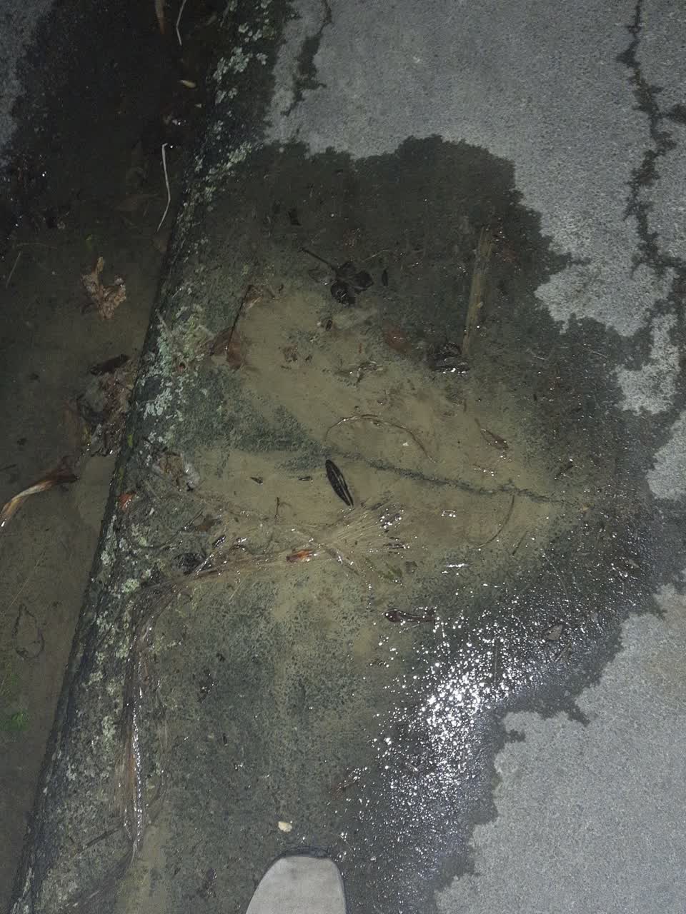 The photograph attached to this water leak report