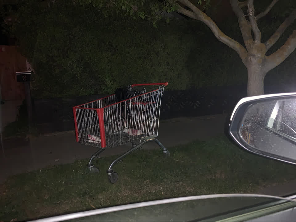 The photograph attached to this general - abandoned trolley report
