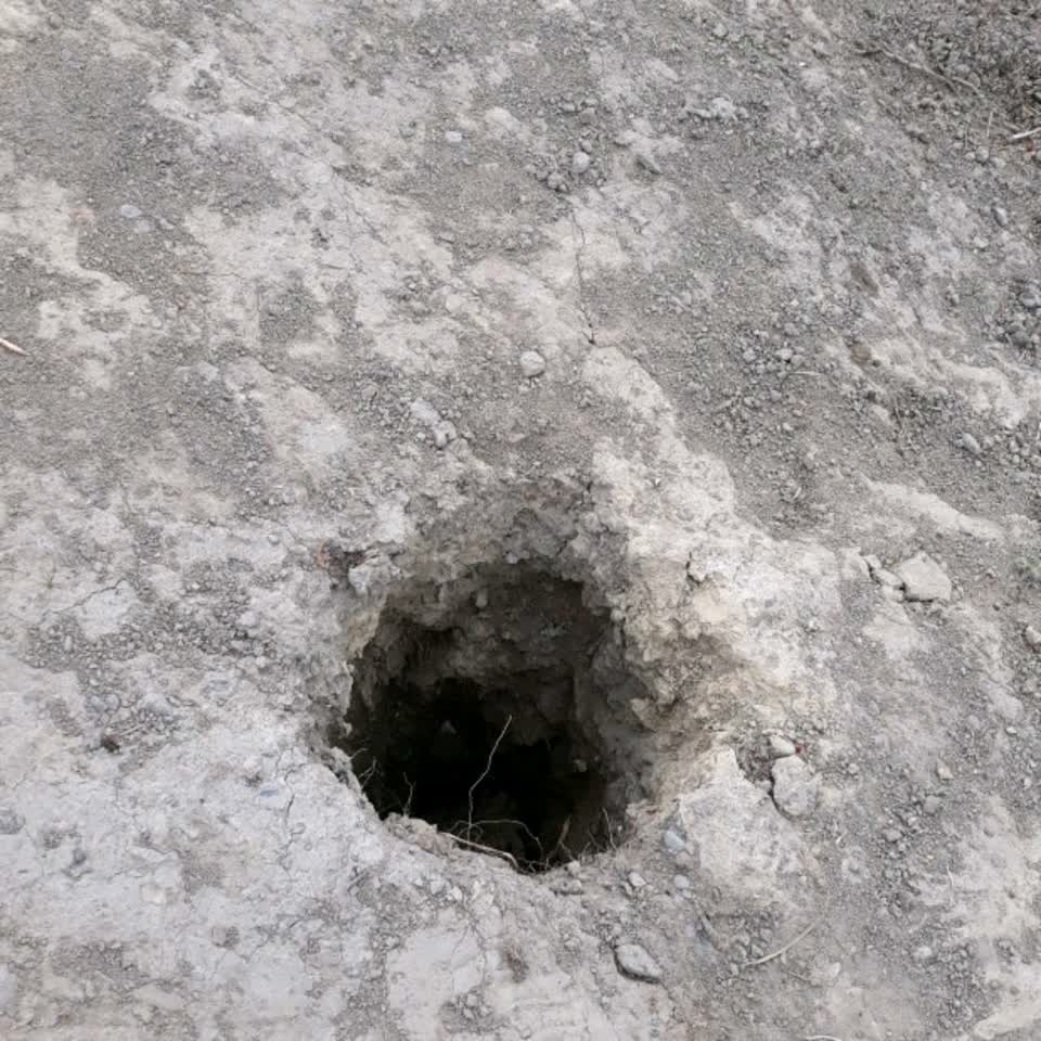 The photograph attached to this facility - general request report