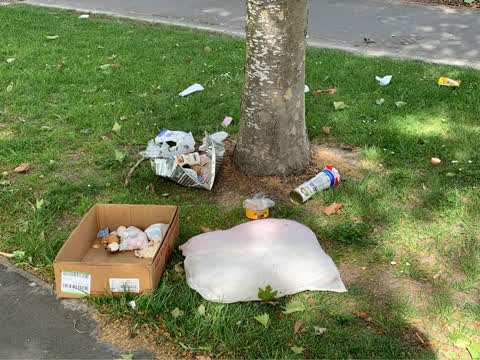 Litter, a report photo